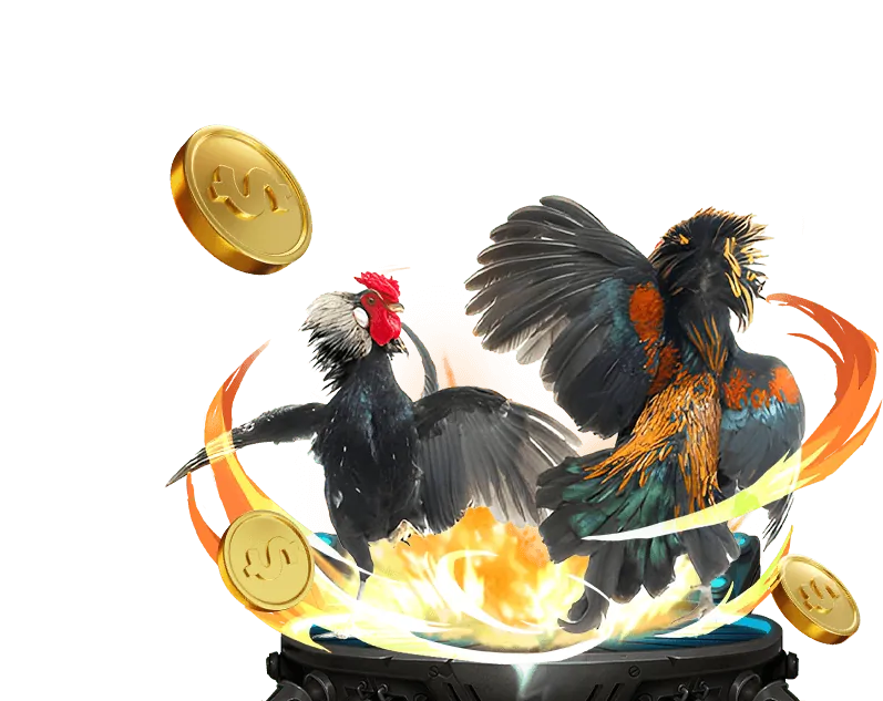 Ứng dụng cá cược hihi88